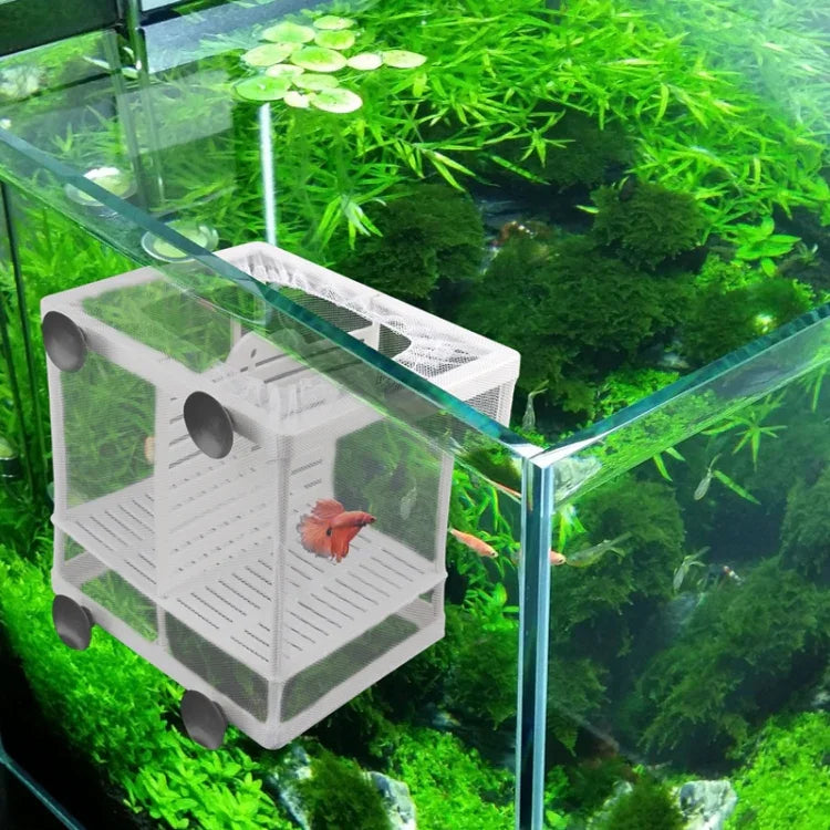 Incubadora Pequena com Divisória Caixa de Isolamento para Peixes Pequenos Rede Caixa de Criação de Peixes Tropicais, Com Divisória