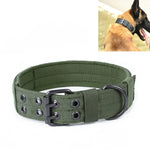 Trela Multifuncional Ajustável para Cão, Treino ao Ar Livre, Coleira Resistente ao Desgaste e à Tração, M, L, XL