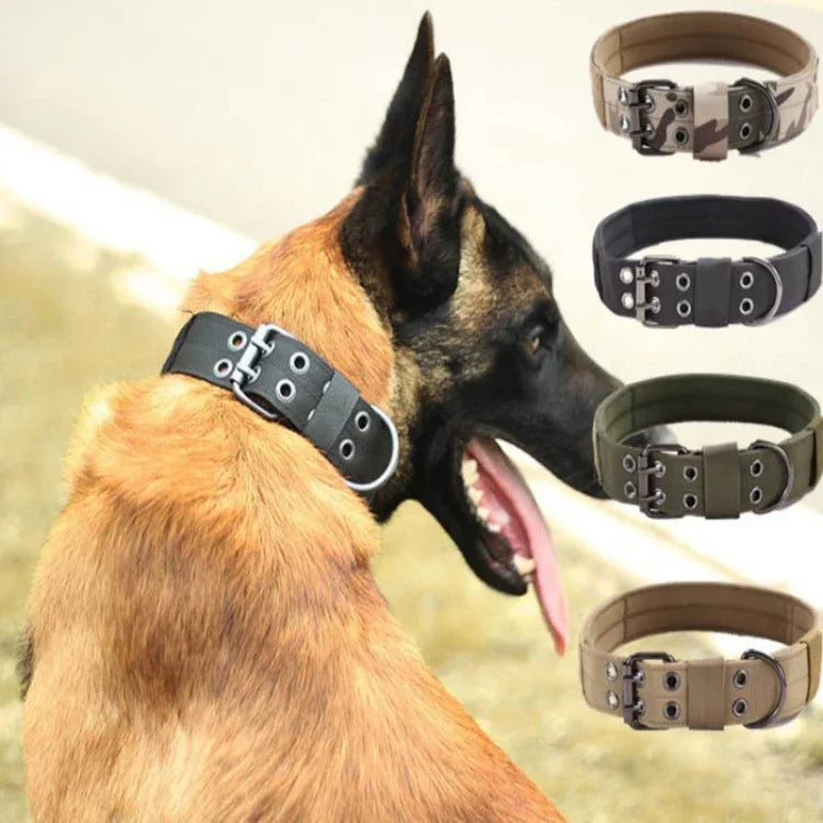 Trela Multifuncional Ajustável para Cão, Treino ao Ar Livre, Coleira Resistente ao Desgaste e à Tração, M, L, XL