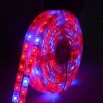 5m 300 LEDs SMD 5050 Tira de Luz LED de Espectro Completo Fitolâmpadas Luzes de Crescimento para Estufa Hidropónica, À Prova de Água