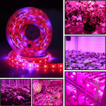 5m 300 LEDs SMD 5050 Tira de Luz LED de Espectro Completo Fitolâmpadas Luzes de Crescimento para Estufa Hidropónica, À Prova de Água