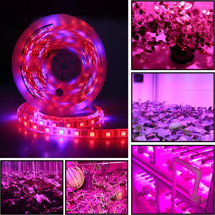 5m 300 LEDs SMD 5050 Tira de Luz LED de Espectro Completo Fitolâmpadas Luzes de Crescimento para Estufa Hidropónica, À Prova de Água