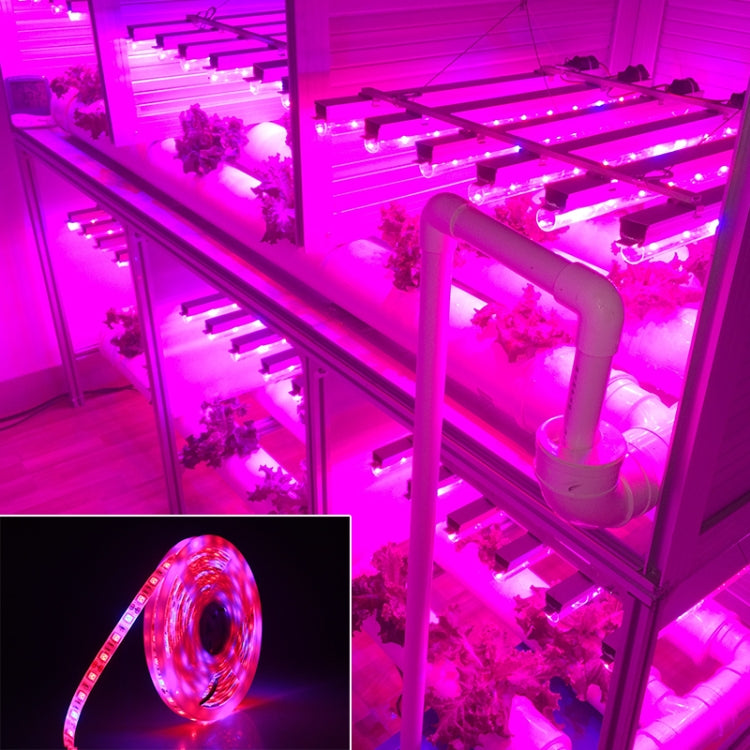 5m 300 LEDs SMD 5050 Tira de Luz LED de Espectro Completo Fitolâmpadas Luzes de Crescimento para Estufa Hidropónica, À Prova de Água