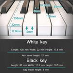 Teclado Piano Eletrónico Portátil Dobrável Wersi de 88 Teclas para Iniciantes Praticar Piano, Ficha CN, USB Branco, USB Preto