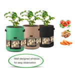 Saco Transparente para Batatas com Cobertura no Meio para Cultivo de Plantas 360 Graus, Grande (35x45cm) 43 Litros/10 Galões, Médio (30x35cm) 26 Litros/7 Galões