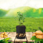 Saco Transparente para Batatas com Cobertura no Meio para Cultivo de Plantas 360 Graus, Grande (35x45cm) 43 Litros/10 Galões, Médio (30x35cm) 26 Litros/7 Galões