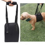 Cintos Assistivos para Cães com Deficiência HCPET F1905 Trela Assistida para Cães Idosos, S, M, L