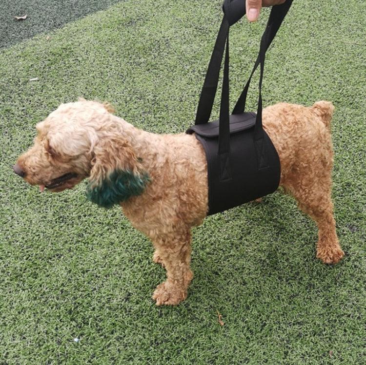 Cintos Assistivos para Cães com Deficiência HCPET F1905 Trela Assistida para Cães Idosos, S, M, L