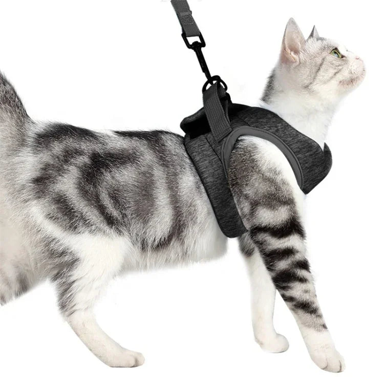 Cat Leash Pet Chest Harness Leash, S