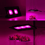 Luz LED Ultra-fina para Plantas, Luz de Crescimento COB de Espectro Completo, Luz de Preenchimento para Estufa de Vegetais, Frutas e Flores sem Plugue, 50W, 100W, 150W