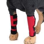 Joelheiras para Animais de Estimação Protetores de Pernas para Cães Equipamento Protetor para Cirurgia e Lesões, L, S, M