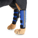 Joelheiras para Animais de Estimação Protetores de Pernas para Cães Equipamento Protetor para Cirurgia e Lesões, L, S, M