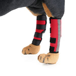 Joelheiras para Animais de Estimação Protetores de Pernas para Cães Equipamento Protetor para Cirurgia e Lesões, L, S, M