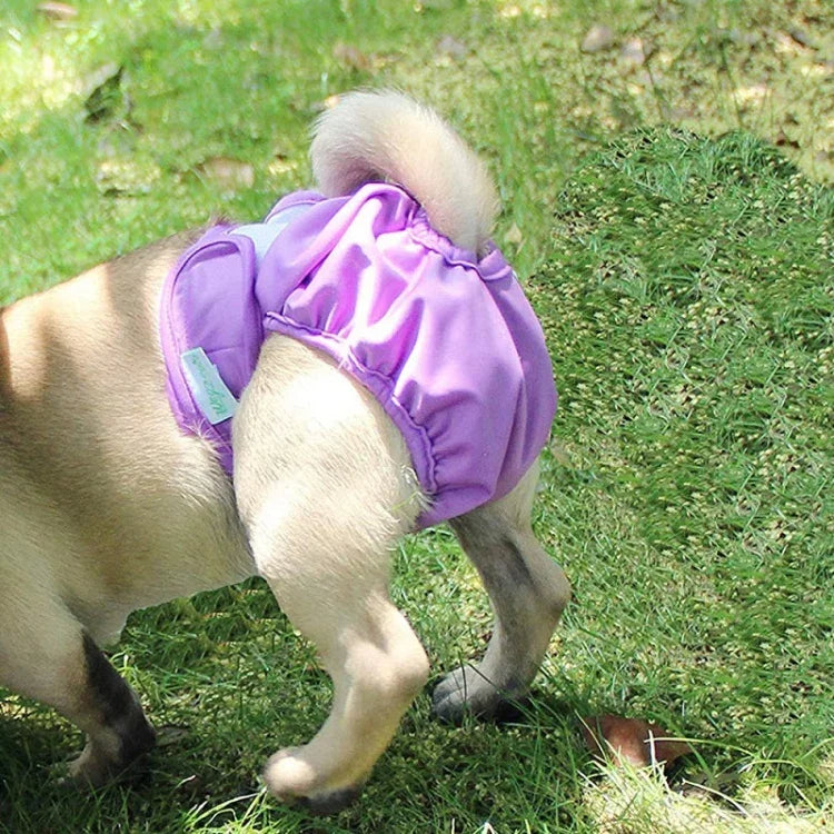 Calças Fisiológicas para Animais Calcinhas Impermeáveis para Animais, XS, S, M, L, XL