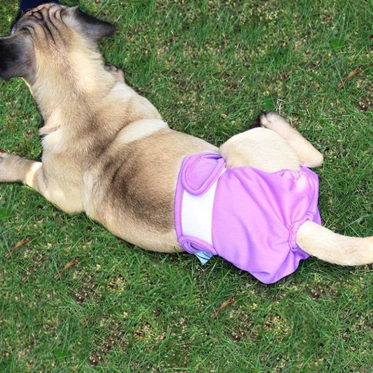 Calças Fisiológicas para Animais Calcinhas Impermeáveis para Animais, XS, S, M, L, XL
