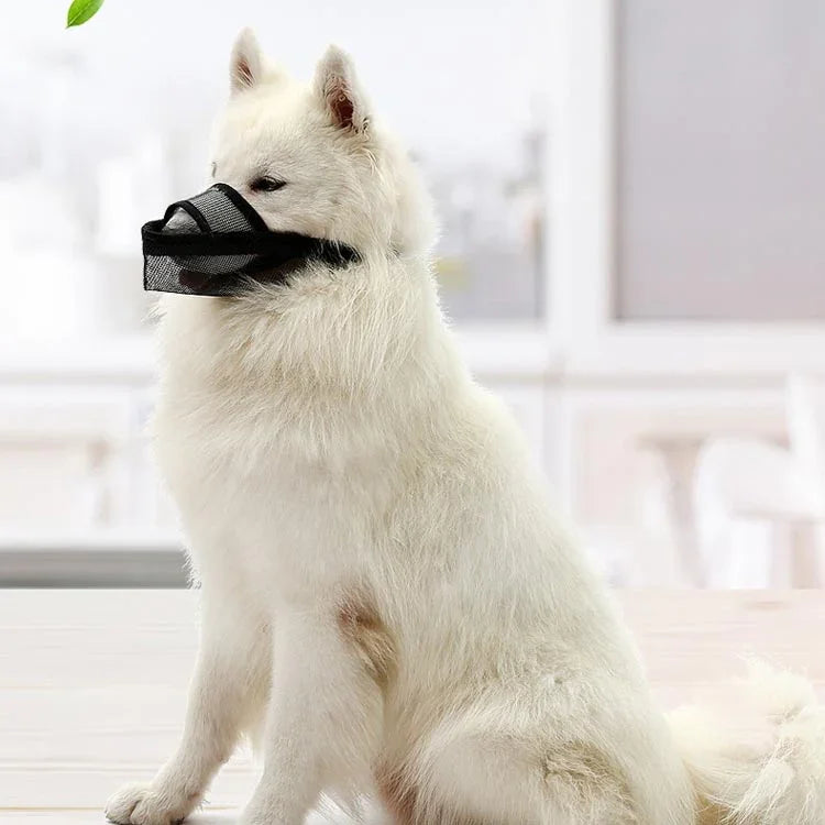 Máscara para Boca de Cão Anti-Mordida Máscara de Malha para Cães Médios e Grandes Máscara Antideslizante, XXS, XS, S, M, L, XL