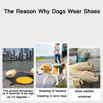 JML Sapatos Desportivos para Animais de Estimação Sapatos para Cão Confortáveis, Respiráveis, Antiderrapantes e Resistentes ao Desgaste, 1