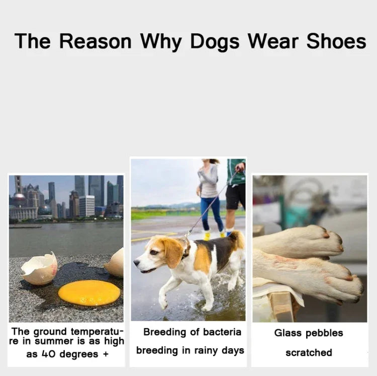 JML Sapatos Desportivos para Animais de Estimação Sapatos para Cão Confortáveis, Respiráveis, Antiderrapantes e Resistentes ao Desgaste, 1