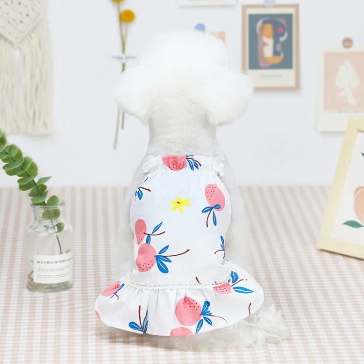 Texto alternativo da imagem