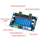 HW-447 Placa Amplificadora Digital de Alta Potência TPA3116D2 Chassis Plug-in Dedicado 5-28V Saída 120W
