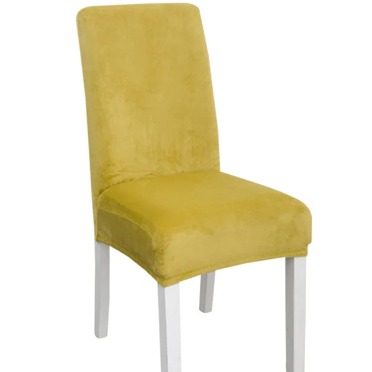 نص بديل للصورة