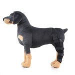 Protector para Pernas Traseiras para Reabilitação Pós-Cirúrgica HJ19, Auxílio à Marcha, XS, S, M, L