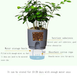 Vaso de flor transparente de plástico de dupla camada com armazenamento de água automático e absorção de água, Calibre A703 8,2cm, Calibre A705 10,5cm, Calibre A707 15,3cm, Calibre A709 23,5cm