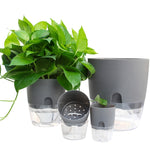 Vaso de flor transparente de plástico de dupla camada com armazenamento de água automático e absorção de água, Calibre A703 8,2cm, Calibre A705 10,5cm, Calibre A707 15,3cm, Calibre A709 23,5cm