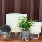 Vaso de flor transparente de plástico de dupla camada com armazenamento de água automático e absorção de água, Calibre A703 8,2cm, Calibre A705 10,5cm, Calibre A707 15,3cm, Calibre A709 23,5cm
