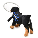 Anel Anti-Colisão para Cães Cegos, Anel de Proteção para Animais, Anel Guia, S, M