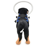 Anel Anti-Colisão para Cães Cegos, Anel de Proteção para Animais, Anel Guia, S, M