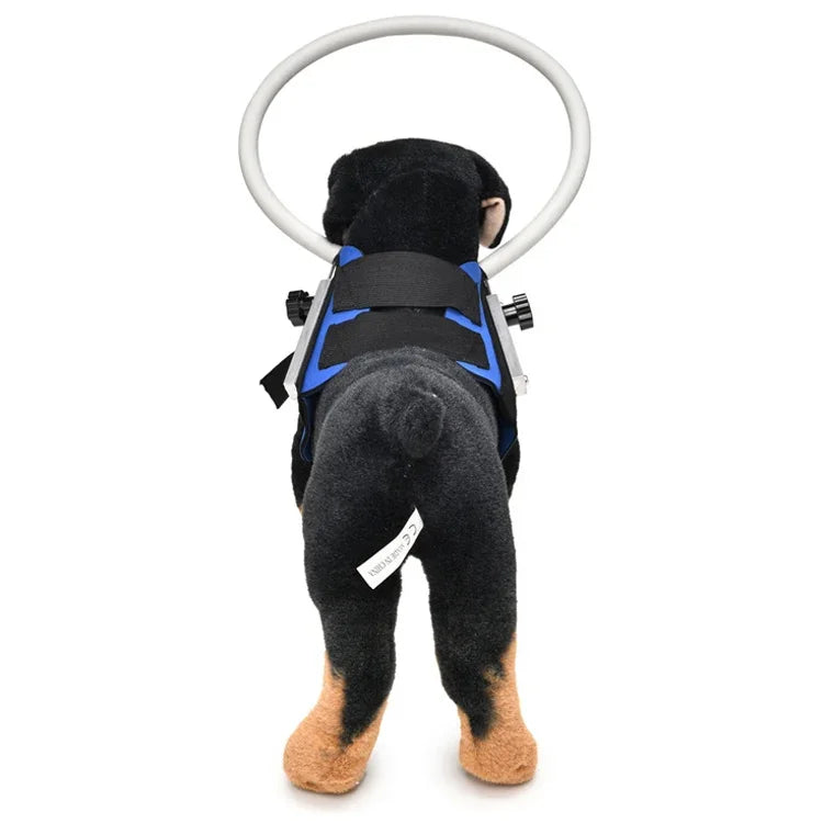 Anel Anti-Colisão para Cães Cegos, Anel de Proteção para Animais, Anel Guia, S, M