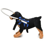 Anel Anti-Colisão para Cães Cegos, Anel de Proteção para Animais, Anel Guia, S, M
