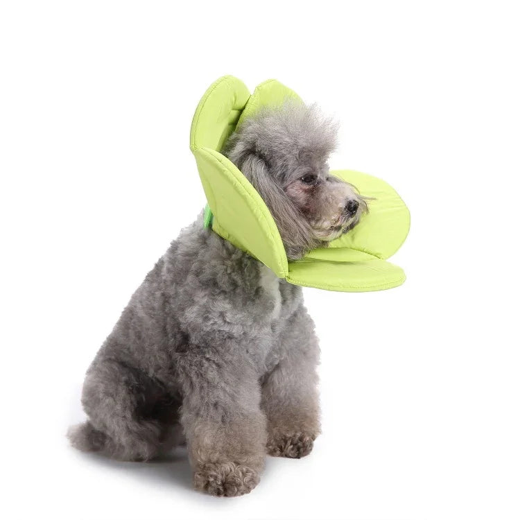 Coleira de Proteção para Cão com Flor, S, M, L