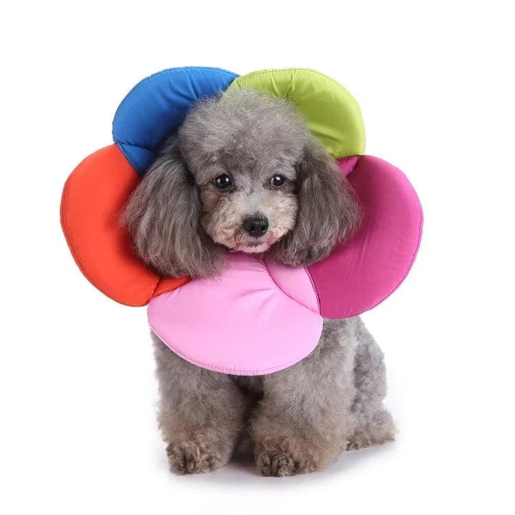Coleira de Proteção para Cão com Flor, S, M, L
