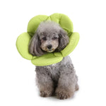 Coleira de Proteção para Cão com Flor, S, M, L