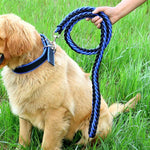 Trela para Cão Cinto Trançado Trela Anti-Explosão para Animais, Tamanho:, M, L, XL