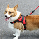 Correia Peitoral Ajustável para Cão K9, Tamanho:, L, XL