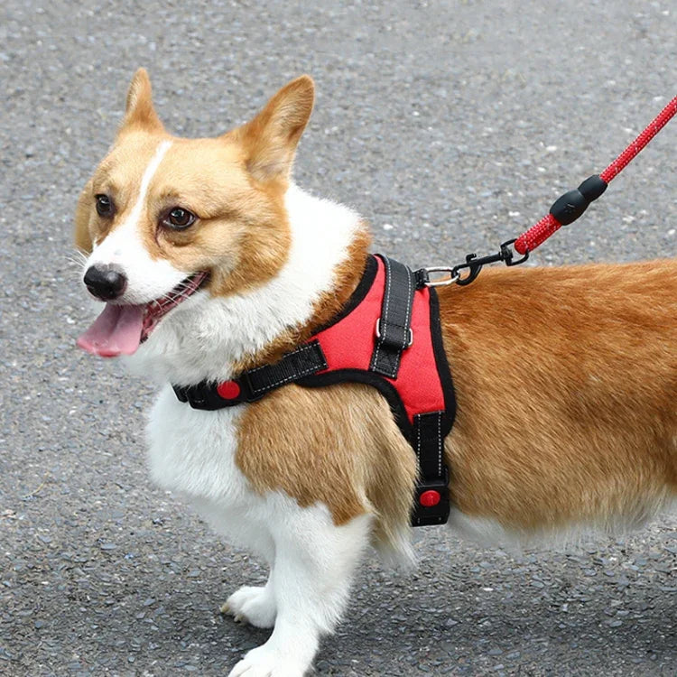 Correia Peitoral Ajustável para Cão K9, Tamanho:, L, XL