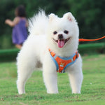 BL-867 Correias Peitorais para Animais Corda Refletora para Tração de Cão, Tamanho:, S, M, L, XL