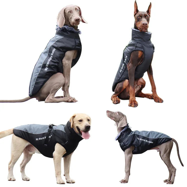 BL-683 Roupa Refletora para Cão para Manter o Calor, XL, XXL, XXXL