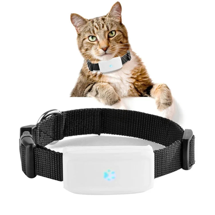 TK911 Rastreador GPS 2G para Animais de Estimação à Prova de Água, TK911