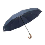 Guarda-chuva Dobrável Retro Grande e Robusto, Resistente ao Vento PARACHASE, Azul, Preto