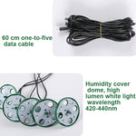 Kit de 5 Conjuntos de Bandejas para Germinação de Sementes, Bandeja de Germinação com Luz de Crescimento, Preto, Verde