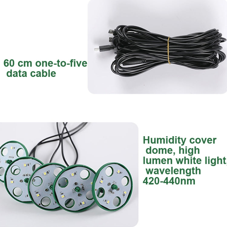 Kit de 5 Conjuntos de Bandejas para Germinação de Sementes, Bandeja de Germinação com Luz de Crescimento, Preto, Verde