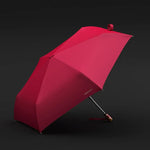 Guarda-chuva Anti-UV para Chuva ou Sol com Cola Preta Clara