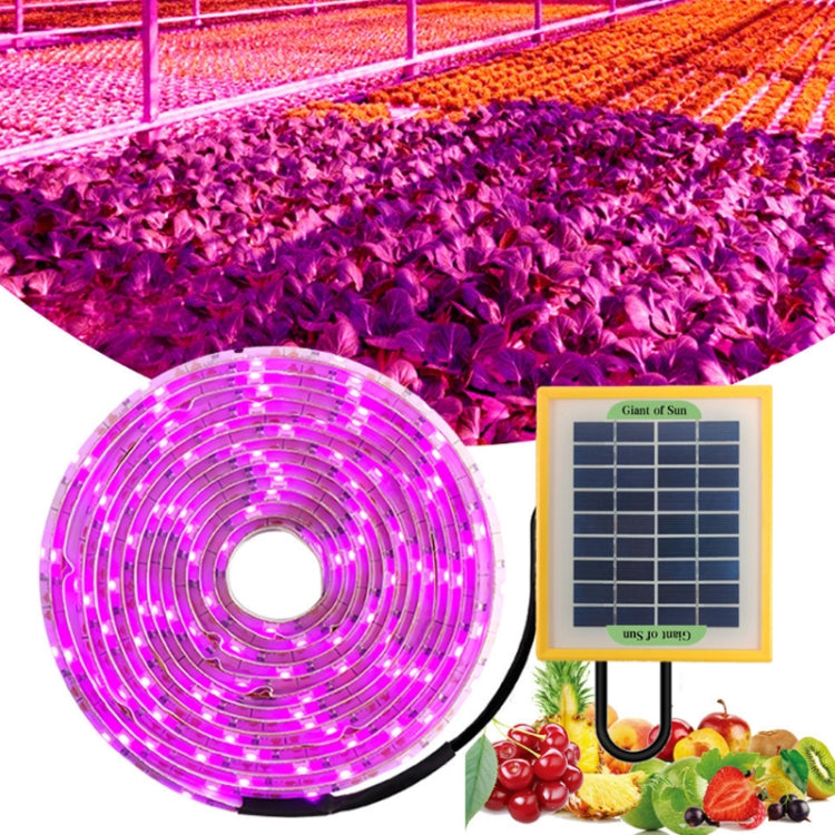 Luz LED de Espectro Completo para Plantas Luz de Crescimento