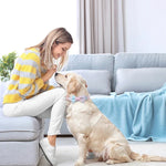 Coleira com Laço Destacável e Fivela em Ouro Rosa para Animais de Estimação, Tamanho:, S 1.5x28-40cm, M 2.0x33-50cm, L 2.5x38-60cm, XL 2.5x43-70cm