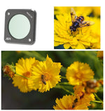 Filtros JUNESTAR para Câmara de Ação DJI Action 2, Estilo:, CPL, ND4, ND8, ND16, ND32, ND64, ND1000, ND8PL, ND64PL, Macro 10X, Noite, Estrela, CS-3IN1, CS-4in1, CS-4in1 (NDPL), CS-6IN1, CS-8in1