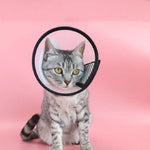 Proteção para Cabeça de Animal de Estimação Colar Anti-Mordida para Gato e Cão Após Cirurgia e Operação, Tamanho: Nº7/8cm, Nº7, Nº6, Nº5, Nº4, Nº3